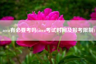 acca有必要考吗(acca考试时间及报考限制)