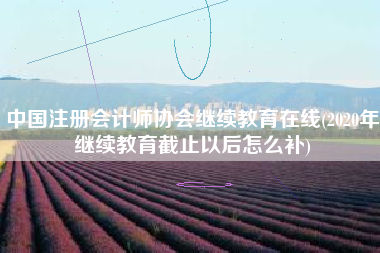 中国注册会计师协会继续教育在线(2020年继续教育截止以后怎么补)