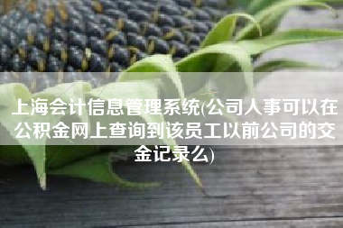 上海会计信息管理系统(公司人事可以在公积金网上查询到该员工以前公司的交金记录么)