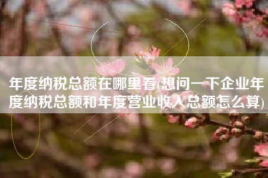 年度纳税总额在哪里看(想问一下企业年度纳税总额和年度营业收入总额怎么算)