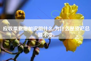 应收票据增加说明什么(为什么是资产总额不变)