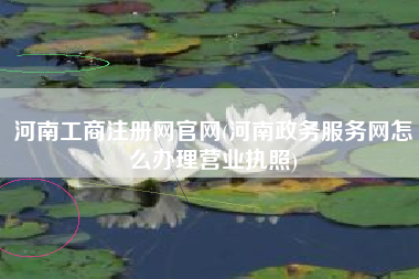 河南工商注册网官网(河南政务服务网怎么办理营业执照)