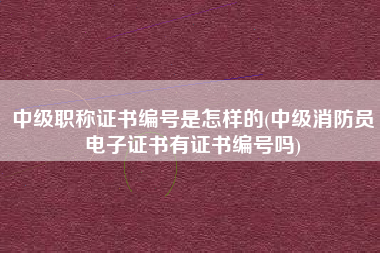 详细阅读:中级职称证书编号是怎样的(中级消防员电子证书有证书编号吗) 中级职称证书编号是怎样的(中级消防员电子证书有证书编号吗)