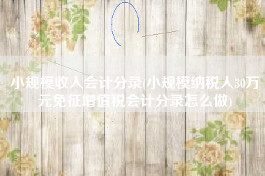 详细阅读:小规模收入会计分录(小规模纳税人30万元免征增值税会计分录怎么做) 小规模收入会计分录(小规模纳税人30万元免征增值税会计分录怎么做)