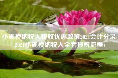 详细阅读:小规模纳税人税收优惠政策2021会计分录(2021小规模纳税人全套报税流程) 小规模纳税人税收优惠政策2021会计分录(2021小规模纳税人全套报税流程)