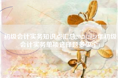 初级会计实务知识点汇总2021(2021年初级会计实务单项选择题多少个)