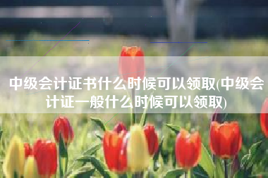 中级会计证书什么时候可以领取(中级会计证一般什么时候可以领取)
