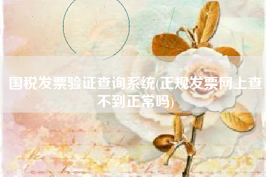 国税发票验证查询系统(正规发票网上查不到正常吗)