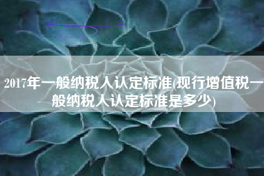 2017年一般纳税人认定标准(现行增值税一般纳税人认定标准是多少)