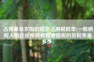 占用基本农田的耕地占用税税率(一般纳税人的企业所得税和增值税的负税率是多少)