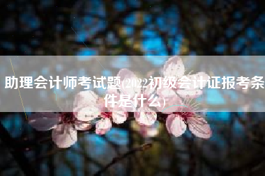 助理会计师考试题(2022初级会计证报考条件是什么)