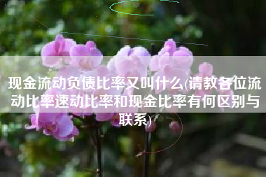 现金流动负债比率又叫什么(请教各位流动比率速动比率和现金比率有何区别与联系)