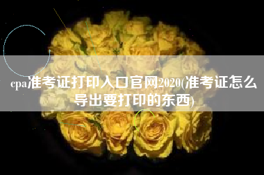 cpa准考证打印入口官网2020(准考证怎么导出要打印的东西)