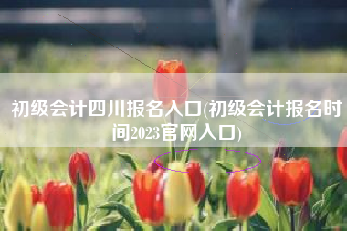 初级会计四川报名入口(初级会计报名时间2023官网入口)
