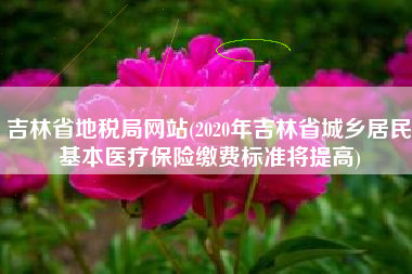 吉林省地税局网站(2020年吉林省城乡居民基本医疗保险缴费标准将提高)