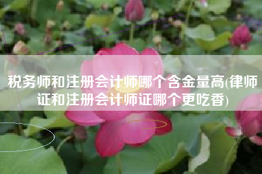 税务师和注册会计师哪个含金量高(律师证和注册会计师证哪个更吃香)