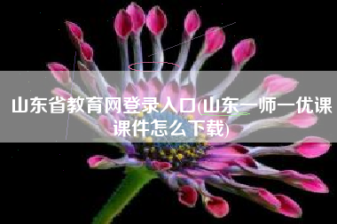山东省教育网登录入口(山东一师一优课课件怎么下载)
