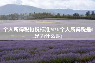 个人所得税扣税标准2021(个人所得税是0是为什么呢)