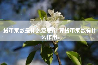 货币乘数是什么意思(计算货币乘数有什么作用)