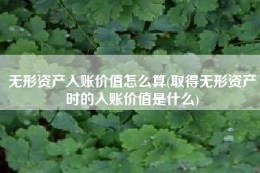 无形资产入账价值怎么算(取得无形资产时的入账价值是什么)