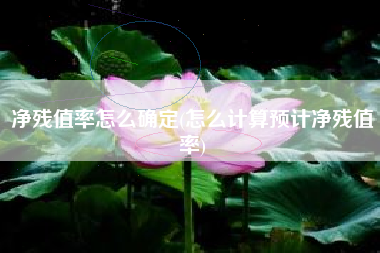 净残值率怎么确定(怎么计算预计净残值率)