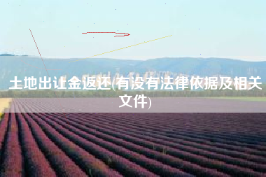 土地出让金返还(有没有法律依据及相关文件)
