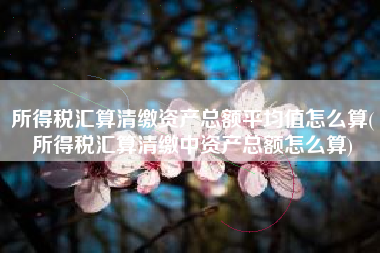 所得税汇算清缴资产总额平均值怎么算(所得税汇算清缴中资产总额怎么算)