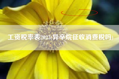 工资税率表2023(异辛烷征收消费税吗)