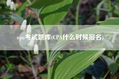 cpa考试题库(CPA什么时候报名)
