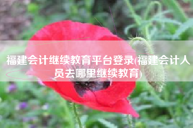 福建会计继续教育平台登录(福建会计人员去哪里继续教育)