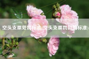 空头支票处罚标准(空头支票罚款的标准)