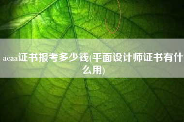 acaa证书报考多少钱(平面设计师证书有什么用)