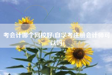 考会计哪个网校好(自学考注册会计师可以吗)