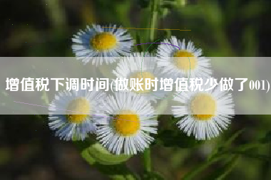 增值税下调时间(做账时增值税少做了001)