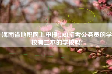 海南省地税网上申报(2021招考公务员的学校有三本的学校吗)