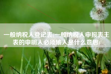 一般纳税人登记表(一般纳税人申报表主表的申明人必须输入是什么意思)