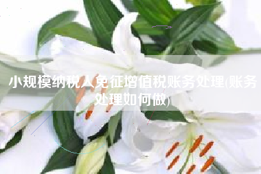 小规模纳税人免征增值税账务处理(账务处理如何做)