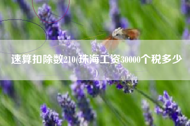 速算扣除数210(珠海工资30000个税多少
)