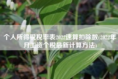 个人所得税税率表2022速算扣除数(2022年月工资个税最新计算方法)