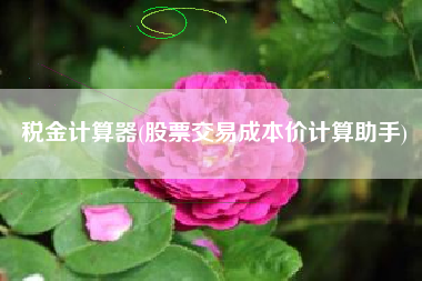 税金计算器(股票交易成本价计算助手)