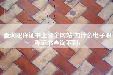 查询职称证书上哪个网站(为什么电子职称证书查询不到)