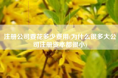 注册公司要花多少费用(为什么很多大公司注册资本都很小)