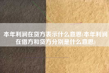 本年利润在贷方表示什么意思(本年利润在借方和贷方分别是什么意思)