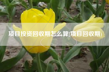 项目投资回收期怎么算(项目回收期)