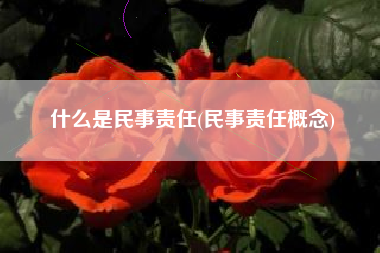 什么是民事责任(民事责任概念)