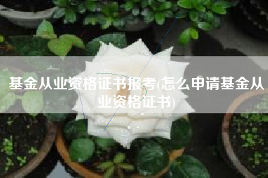 基金从业资格证书报考(怎么申请基金从业资格证书)