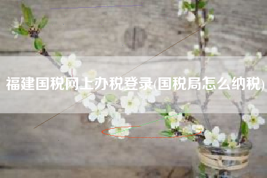 福建国税网上办税登录(国税局怎么纳税)