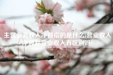 主营业务收入净额指的是什么(营业收入净额和营业收入有区别吗)