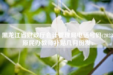黑龙江省财政厅会计管理局电话号码(2023原民办教师补贴几月份发)