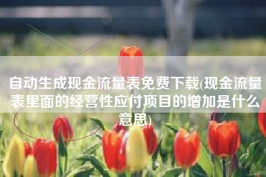 自动生成现金流量表免费下载(现金流量表里面的经营性应付项目的增加是什么意思)